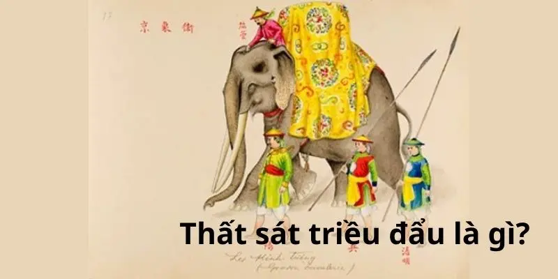 Thất sát triều đẩu là gì?