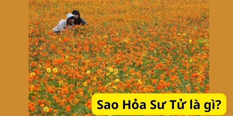 Sao Hỏa Sư Tử là gì?