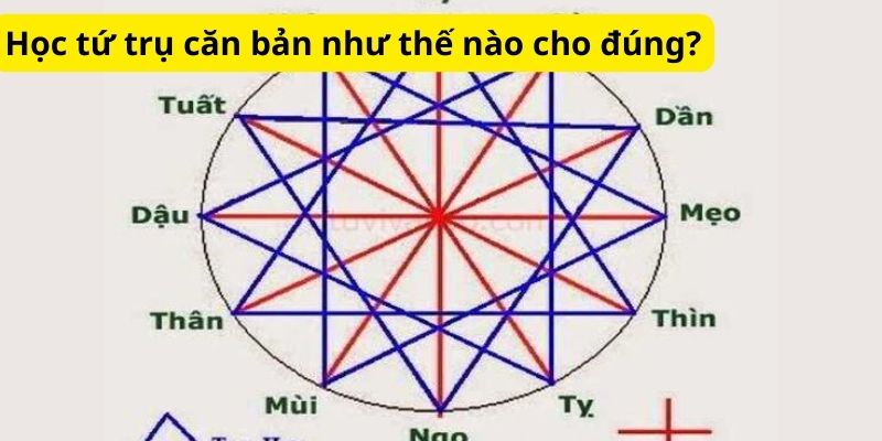 Học tứ trụ căn bản như thế nào cho đúng?