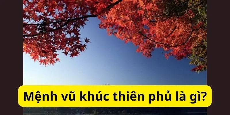 Mệnh vũ khúc thiên phủ là gì?