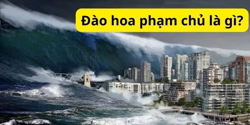 Đào hoa phạm chủ là gì?