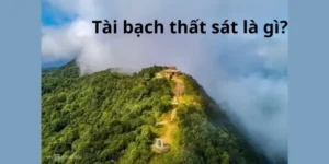 Tài bạch thất sát là gì?