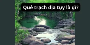 Quẻ trạch địa tụy là gì?