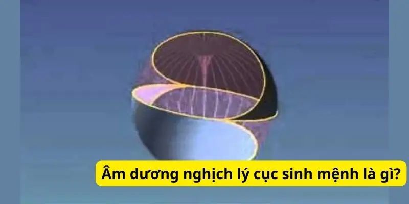 Âm dương nghịch lý cục sinh mệnh là gì?