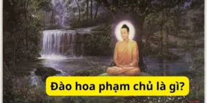 Đào hoa phạm chủ là gì?