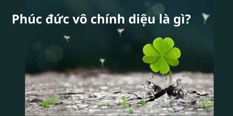 Phúc đức vô chính diệu là gì?