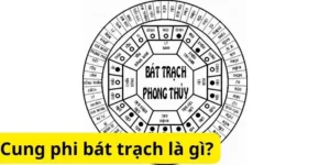 Cung phi bát trạch là gì?