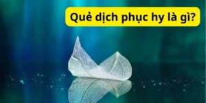 Quẻ dịch phục hy là gì?