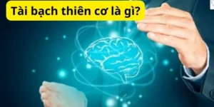 Tài bạch thiên cơ là gì?