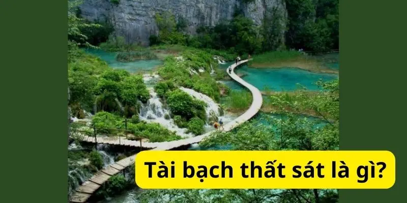 Tài bạch thất sát là gì?