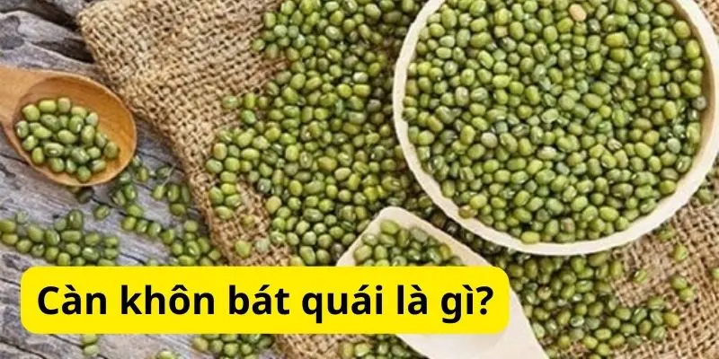 Càn khôn bát quái là gì?